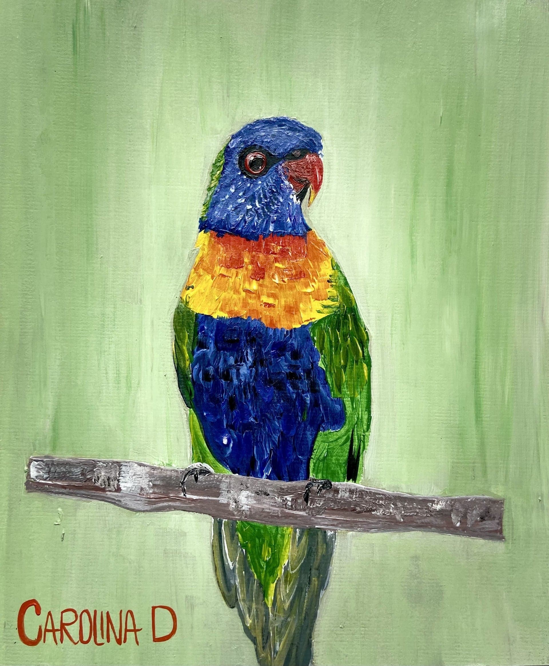 Lorikeet